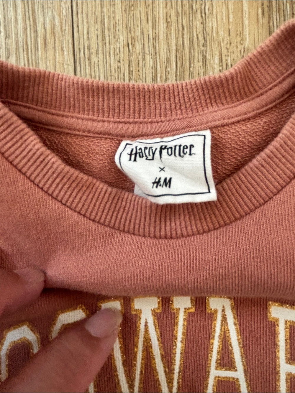 H&M Rust-Pink Hogwarts Owl Ruffle Dress - Picture 3 of 5
